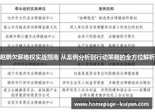 赵鹏欠薪维权实战指南 从案例分析到行动策略的全方位解析