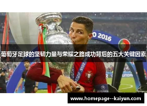 葡萄牙足球的坚韧力量与荣耀之路成功背后的五大关键因素