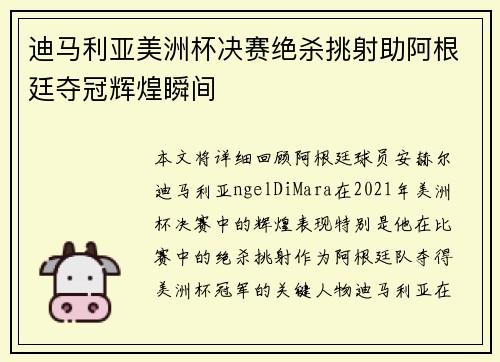 迪马利亚美洲杯决赛绝杀挑射助阿根廷夺冠辉煌瞬间